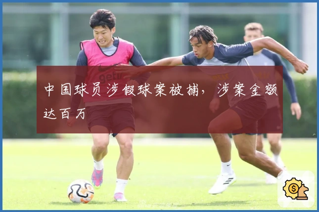 中国球员涉假球案被捕，涉案金额达百万